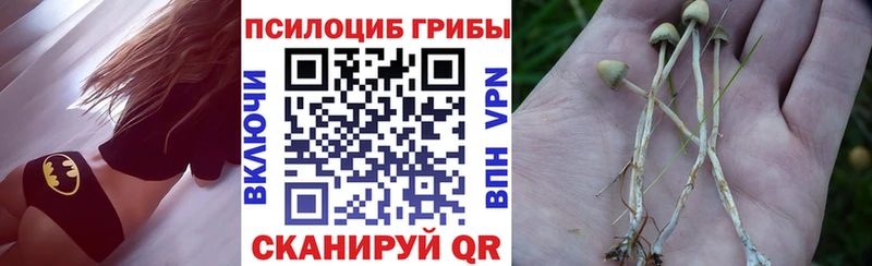 Галлюциногенные грибы прущие грибы Райчихинск